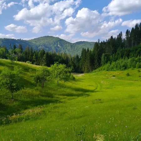 펜션 Oaza Mira Zlatarsko Jezero Amzici