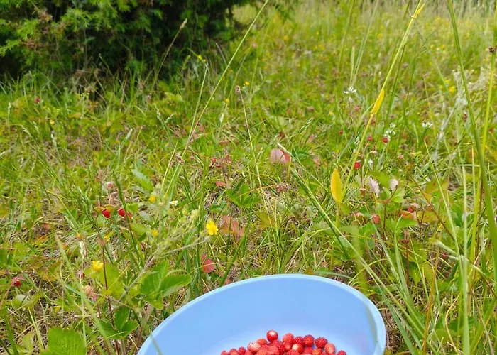 Oaza Mira Zlatarsko Jezero Hébergement de vacances