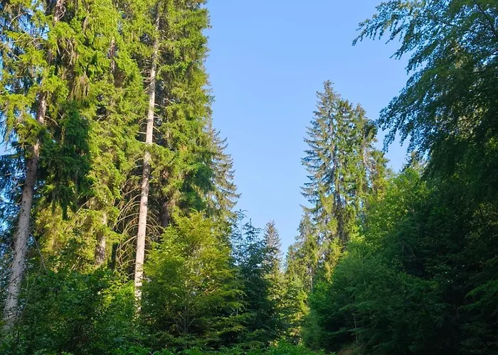 Oaza Mira Zlatarsko Jezero