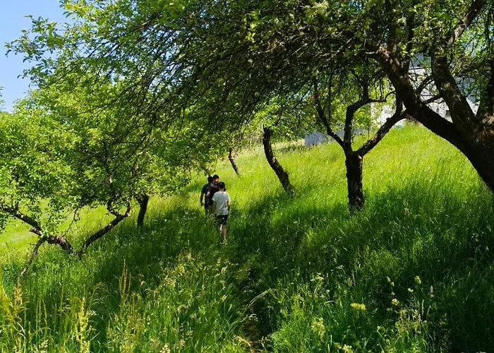 Oaza Mira Zlatarsko Jezero Amzici