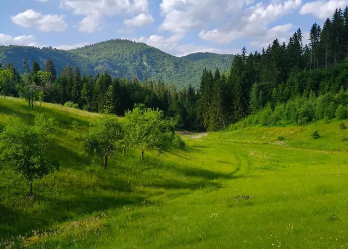 Hébergement de vacances Oaza Mira Zlatarsko Jezero Amzici